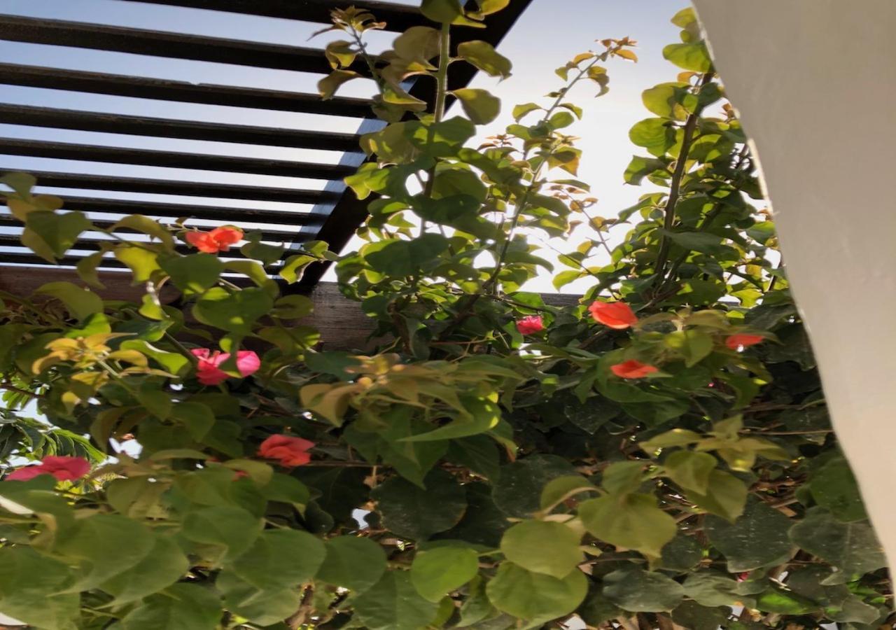 Villa Mare Bella Chao Sea View Private Heated Solar Pool Ac Πουέρτο Ντελ Κάρμεν Εξωτερικό φωτογραφία