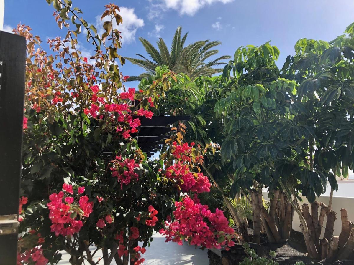 Villa Mare Bella Chao Sea View Private Heated Solar Pool Ac Πουέρτο Ντελ Κάρμεν Εξωτερικό φωτογραφία